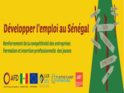 Le Programme “Développer l’emploi au Sénégal – Tekki fii” a déjà touché près de 7 400 personnes