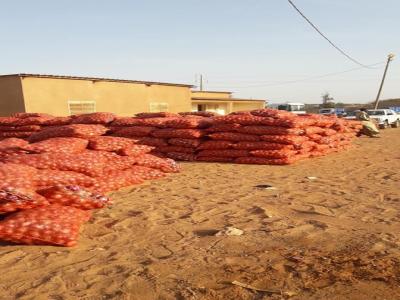 POTOU: Des tonnes d’oignon cherchent acheteurs à 100 ou 125 le kg.