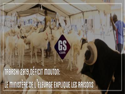 Tabaski 2019 : Déficit Mouton: Le Ministère De L’Elevage Explique Les Raisons