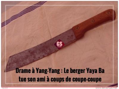 Drame à Yang-Yang : Le berger Yaya Ba tue son ami à coups de coupe-coupe
