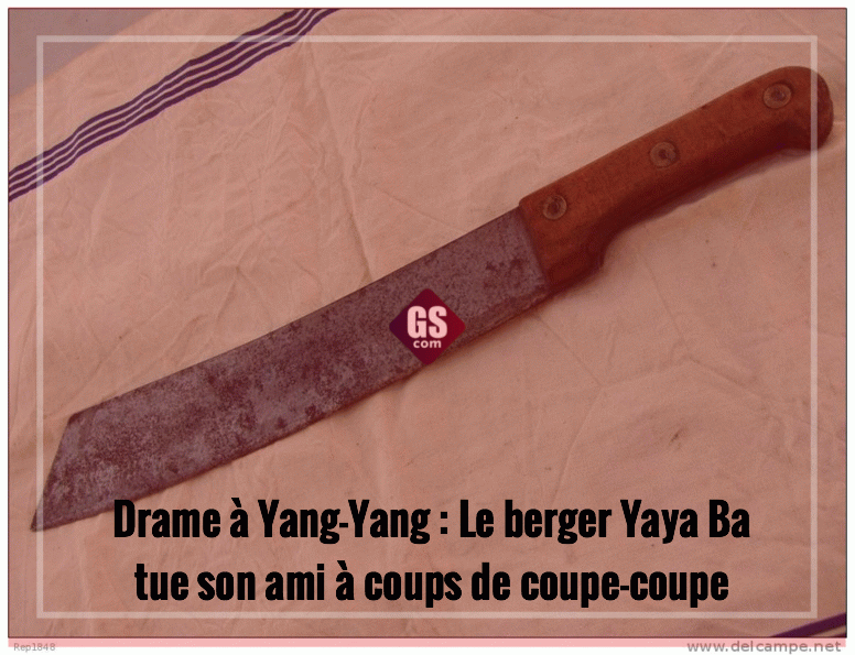 Drame à Yang-Yang : Le berger Yaya Ba tue son ami à coups de coupe-coupe