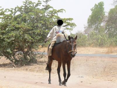 Linguère : Un garçon de 12 ans meurt après une chute de cheval