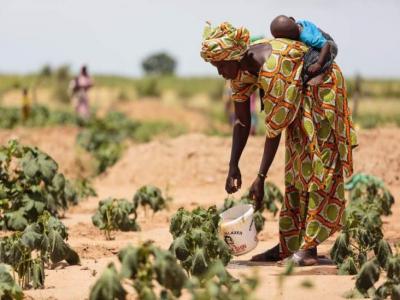 Sécurité Alimentaire : Les régions de Louga, Matam et Kaffrine 'positivement impactées'