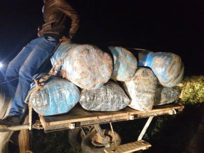 Un réseau de trafic international de drogue démantelé à Potou