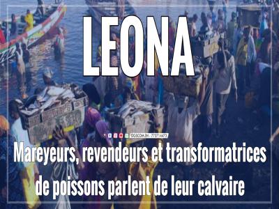 Léona: Mareyeurs, revendeurs et transformatrices de poissons parlent de leur calvaire.