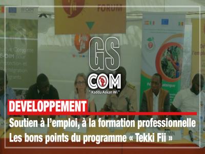 Soutien à l’emploi, à la formation professionnelle – Les bons points du programme « Tekki Fii »