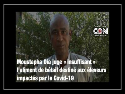 Moustapha Dia juge « insuffisant » l’aliment de bétail destiné aux éleveurs impactés par le Covid-19