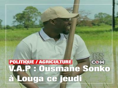 Vacances agricoles patriotiques : Ousmane Sonko à Louga ce jeudi