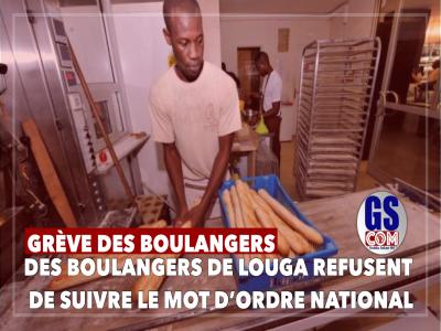 DES BOULANGERS DE LOUGA REFUSENT DE SUIVRE LE MOT D’ORDRE