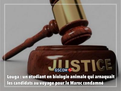 Louga : un étudiant en biologie animale qui arnaquait les candidats au voyage pour le Maroc condamné