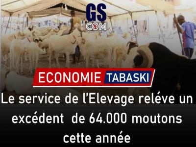 Le service de l’Elevage de Louga relève un excédent de 64.000 moutons cette année.