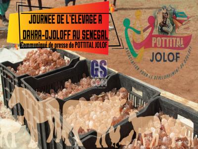 JOURNEE DE L’ELEVAGE A DAHRA-DJOLOFF AU SENEGAL : Communiqué de presse de POTTITAL JOLOF  